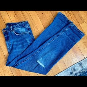 Boden Distressed Skinny Jean, Size 10 Petite